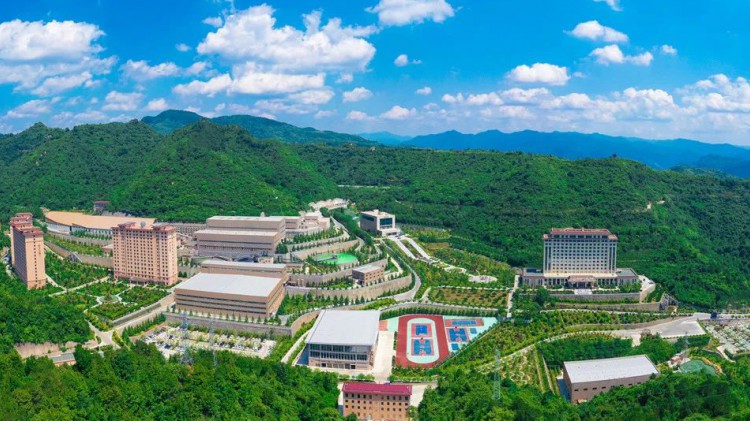 热烈祝贺！金徽矿业股份有限公司荣获2024年度全省工业经济稳增长突出贡献企业