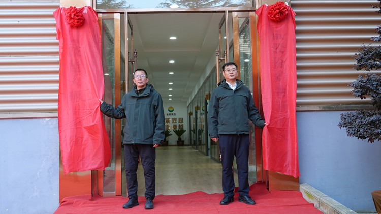 以“智”提“质” ——金徽股份矿物研究院及肖云技能大师工作室揭牌